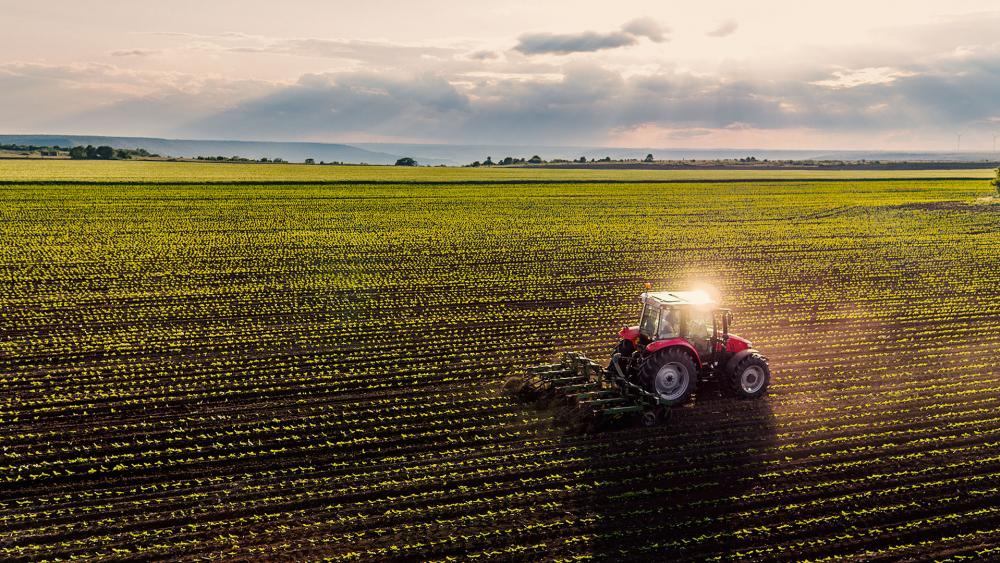 farmland tractor