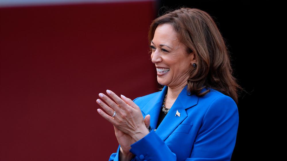 Democratic presidential nominee Vice President Kamala Harris, Aug. 18, 2024, in Aliquippa, Pa. (AP Photo/Julia Nikhinson)