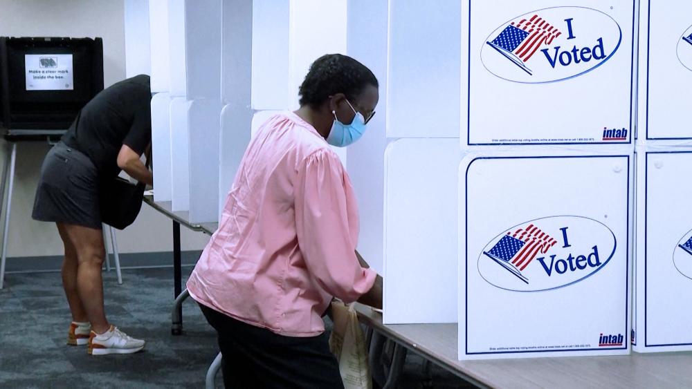 Woman Voting