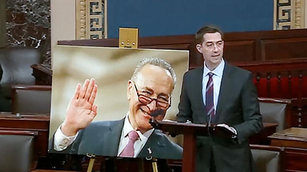Sen. Tom Cotton uses Senate Majority Leader Chuck Schumer&#039;s own words against him (Screen capture from Twitter)