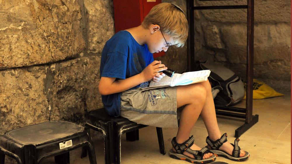Reading at the Western Wall on Tisha B&#039;Av, Photo, GPO, Amos Ben Gershom