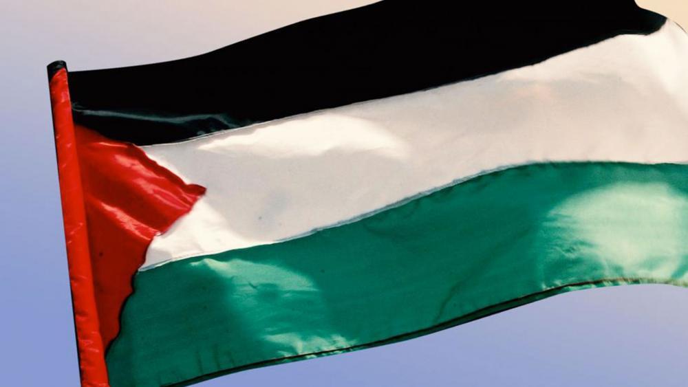 palestinianauthorityflag_hdv.jpg