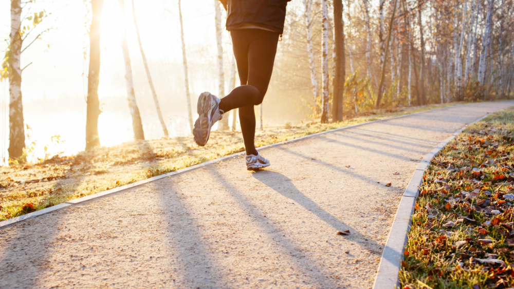 person jogging on path in autumn