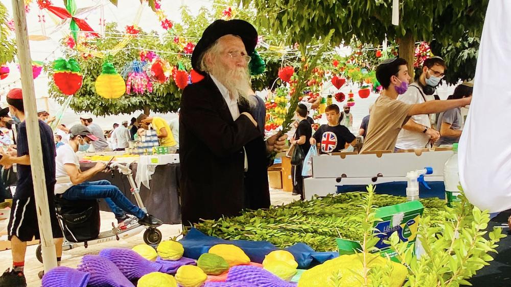 Israelis shop for special items used in rituals of the Jewish Sukkot holiday in Jerusalem. Photo Credit: CBN News