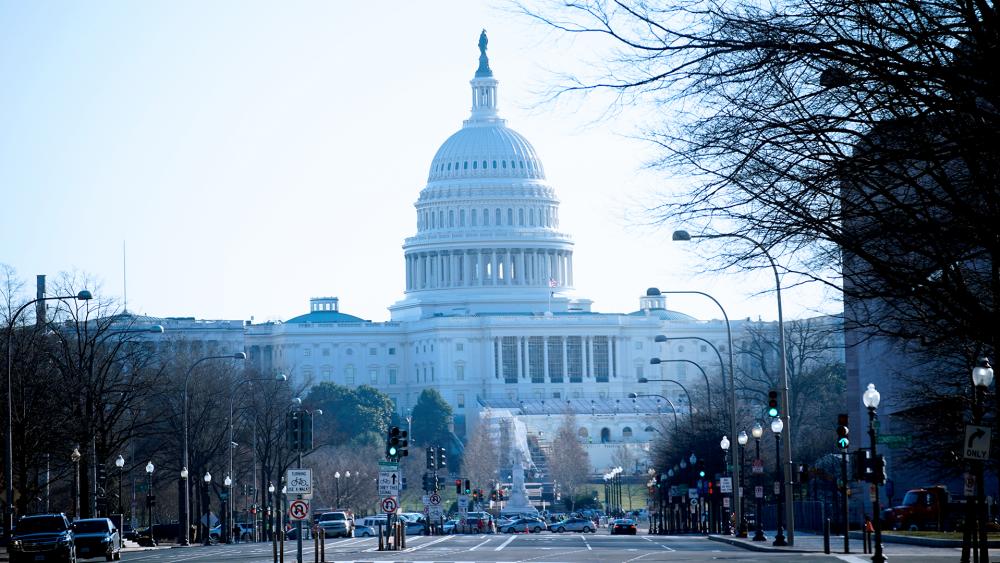 US Capitol  (AP Photo/Matt Slocum)