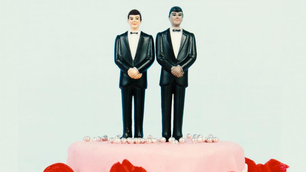 wedding cake topper 2 men